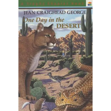 One Day in the Desert