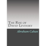 The Rise of David Levinsky
