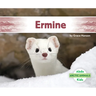 Ermine