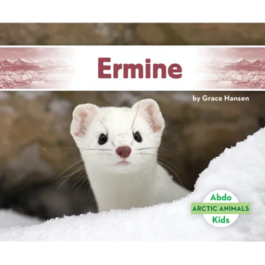 Ermine