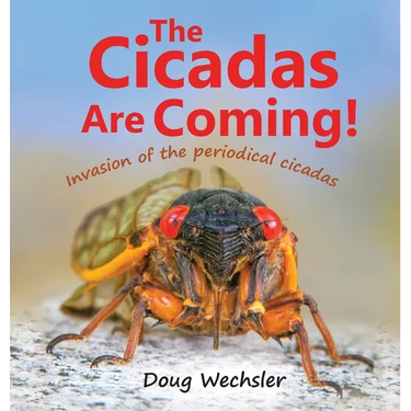 The Cicadas Are Coming!: Invasion of the Periodical Cicadas