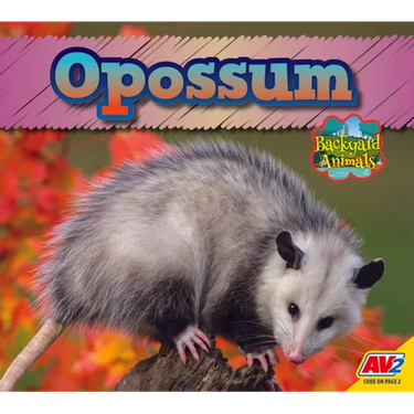 Opossum