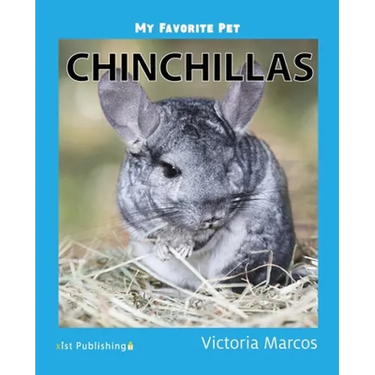 My Favorite Pet: Chinchillas