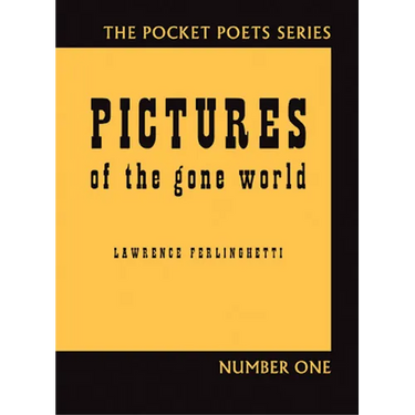 Pictures of the Gone World