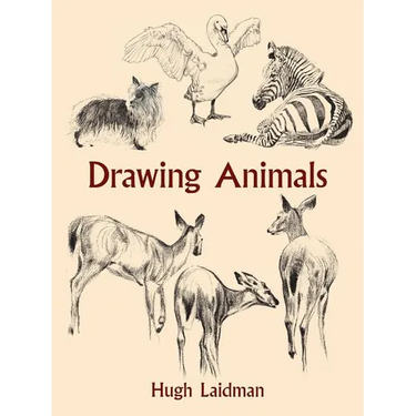 Drawing Animals