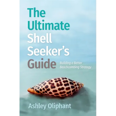 The Ultimate Shell Seeker's Guide: Building a Better Beachcombing Strategy