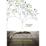 The Panoramic Bible: The Storyline of Scripture