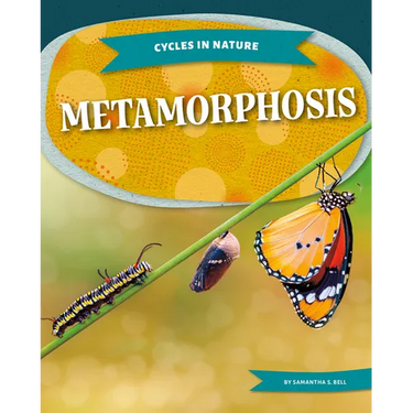 Metamorphosis