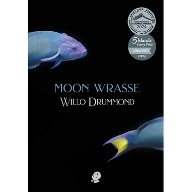 Moon Wrasse