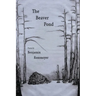 The Beaver Pond