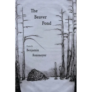 The Beaver Pond