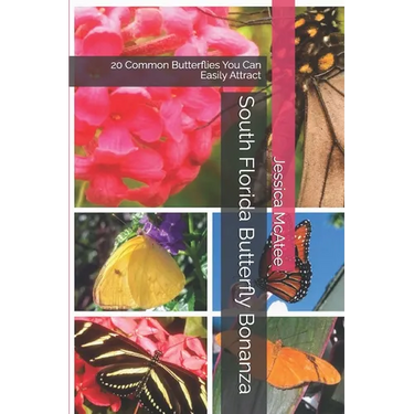 South Florida Butterfly Bonanza: 20 Common Butterflies You Can Easily Attract