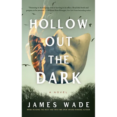 Hollow Out the Dark