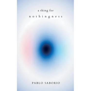A Thing for Nothingness