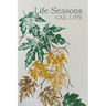 Life Seasons
