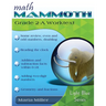 Math Mammoth Grade 2-A Worktext