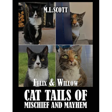 Felix & Willow cat tails of mischief and mayhem