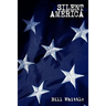 Silent America: Essays from a Democracy at War