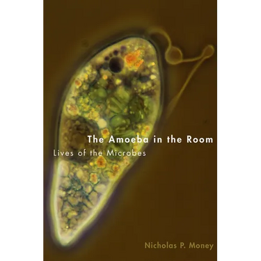 Amoeba in the Room: Lives of the Microbes