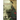 The Painting