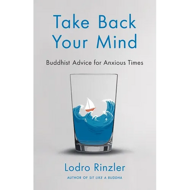 Take Back Your Mind: Buddhist Advice for Anxious Times: Buddhist Advice for Anxious Times