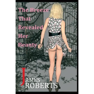 The Breeze That Revealed Her Beauty: The Breeze Brought Her To Me