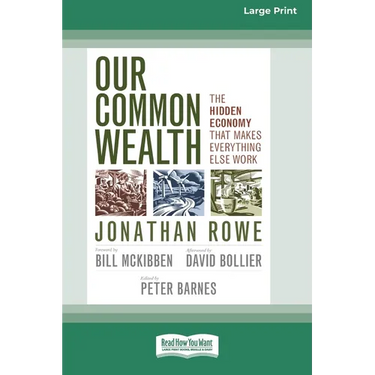 Our Common Wealth: The Hidden Economy that Makes Everything Else Work (16pt Large Print Edition)