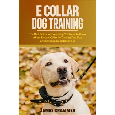 E Collar Dog Training: The Best Guide for Everything You Need to Know About Electric Collar for Training Your Dog and Ensuring Good Behaviour