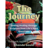The Journey: Finding Healing through Scripture from Life's Hard Questions