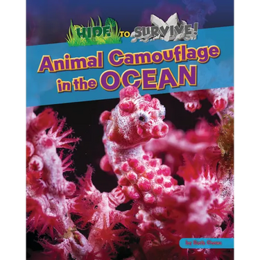 Animal Camouflage in the Ocean