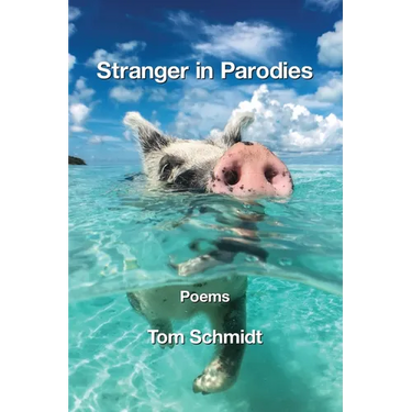 Stranger in Parodies