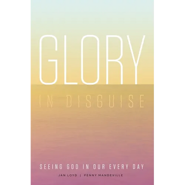 Glory in Disguise: Seeing God in Our Every Day