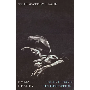 This Watery Place: Four Essays on Gestation