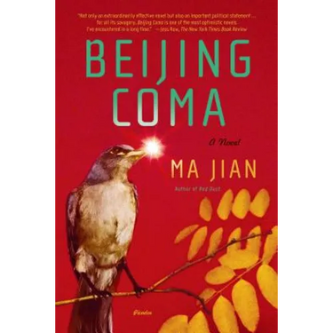Beijing Coma