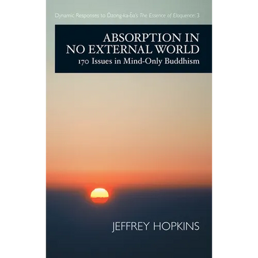 Absorption in No External World: 170 Issues in Mind-Only Buddhism