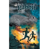 When the Rabbit Jumps