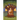 My Evolution Guide