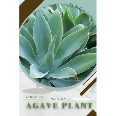 Agave Plant: Prodigy Petal, Plant Guide