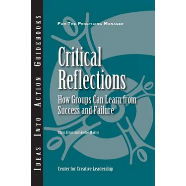 Critical Reflections: How Groups Can Learn from Success and Failure