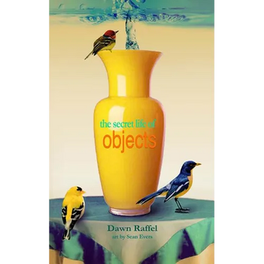 The Secret Life of Objects
