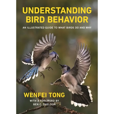 Understanding Bird Behavior: An Illustrated Guide to What Birds Do and Why
