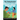 The Young Investor: The North American Guide to Investing Online