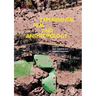 Experimental Film and Anthropology