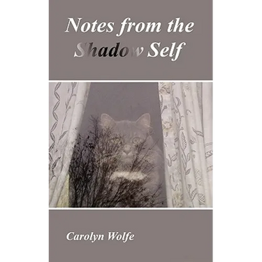 Notes from the Shadow Self