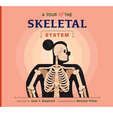 A Tour of the Skeletal System