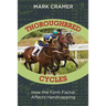 Thoroughbred Cycles