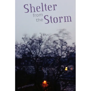 Shelter from the Storm: An Anthology