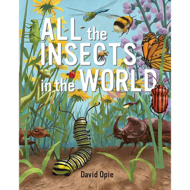 All the Insects in the World