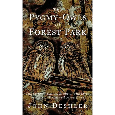 The Pygmy-Owls of Forest Park