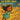The Girl Who Flew Through Clouds